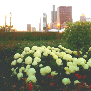 Chicago Parks